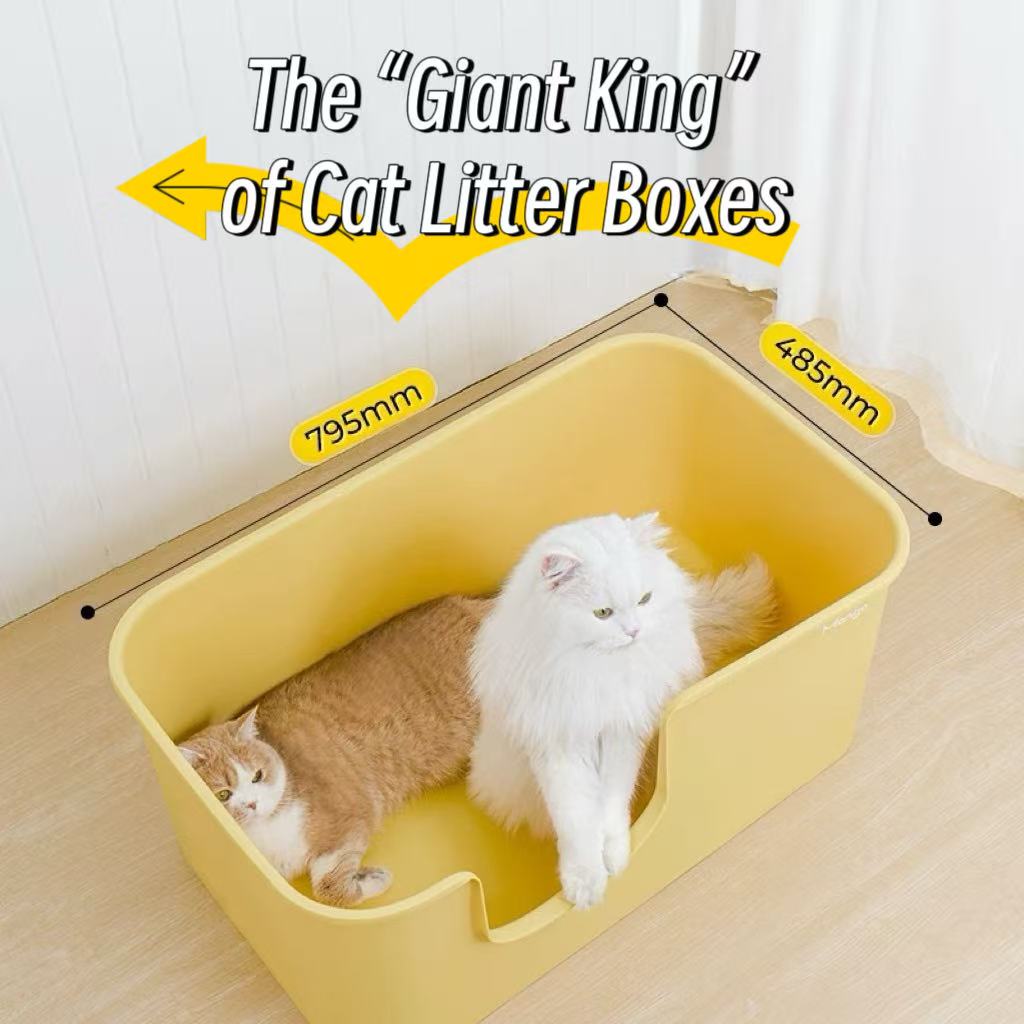 Mango Golden Butter Litter Box