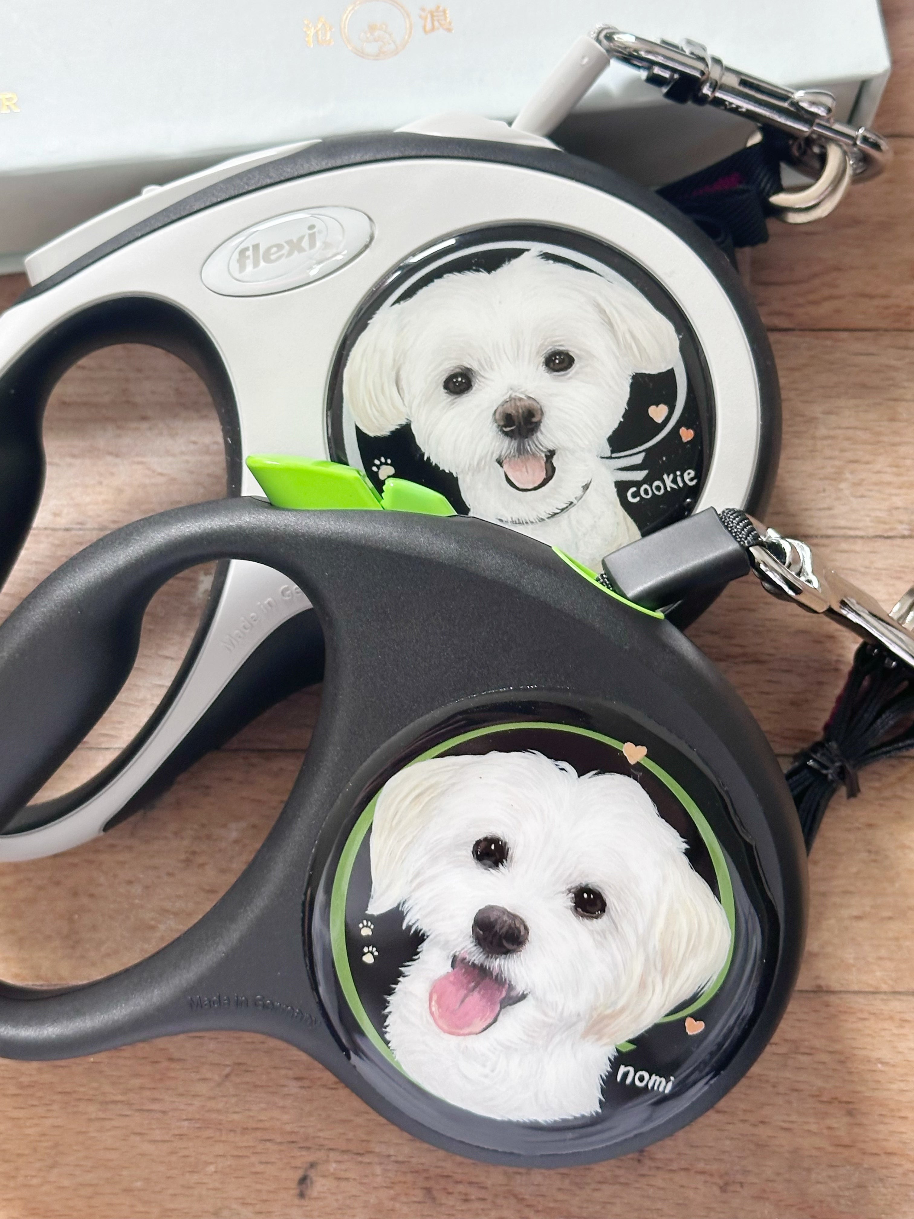 Furhugs Personalized Hand-Painted Flexi Dog Leash