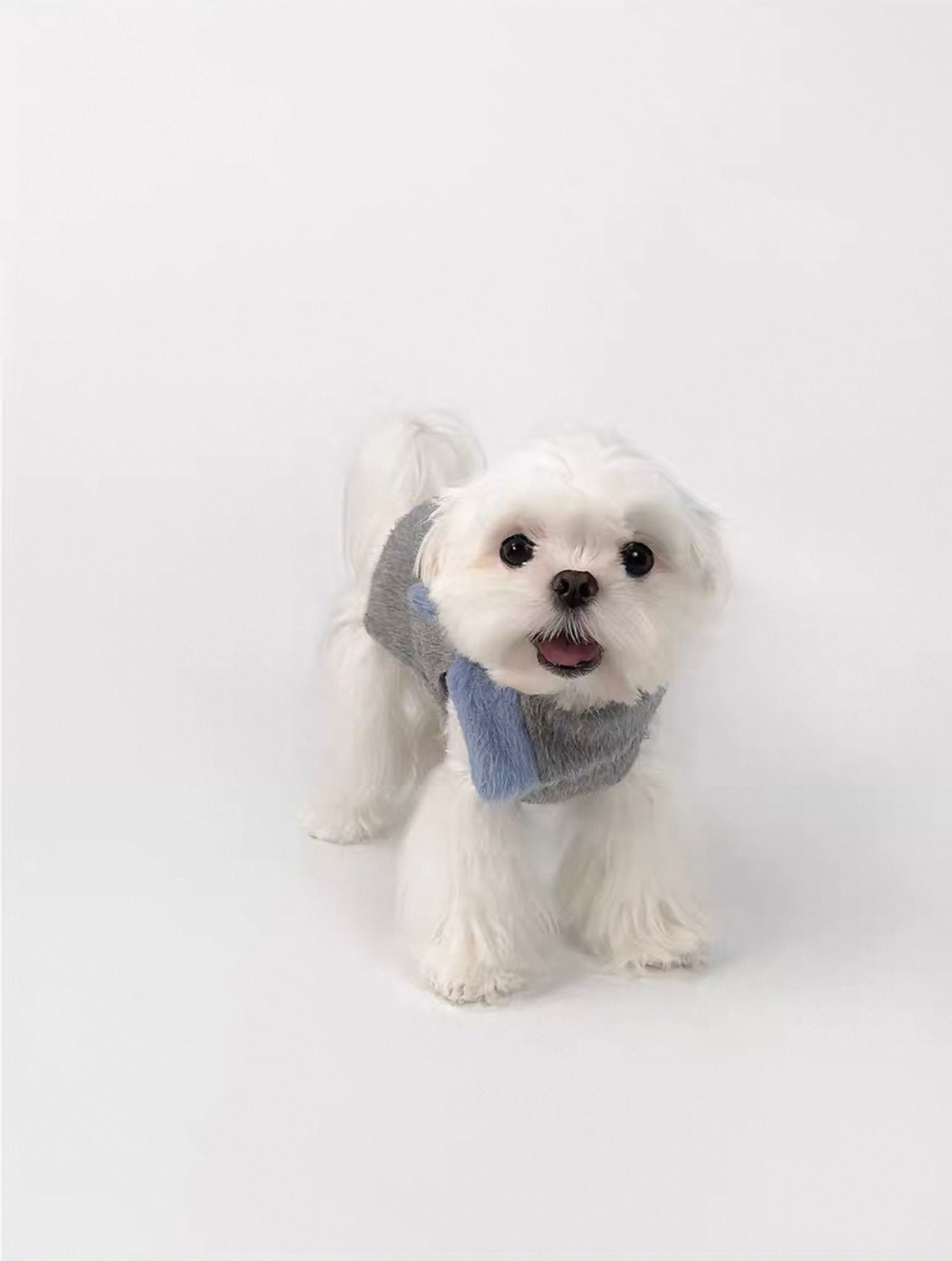 British Style Dog Overcoat – Folded Collar & Faux Fur Bow