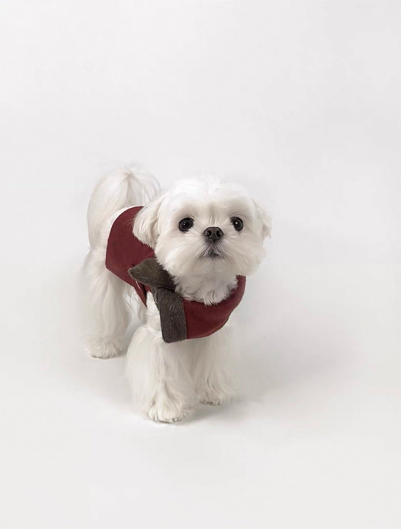 Festive Red Dog Overcoat – Wool-Blend Holiday Jacket with Folded Collar