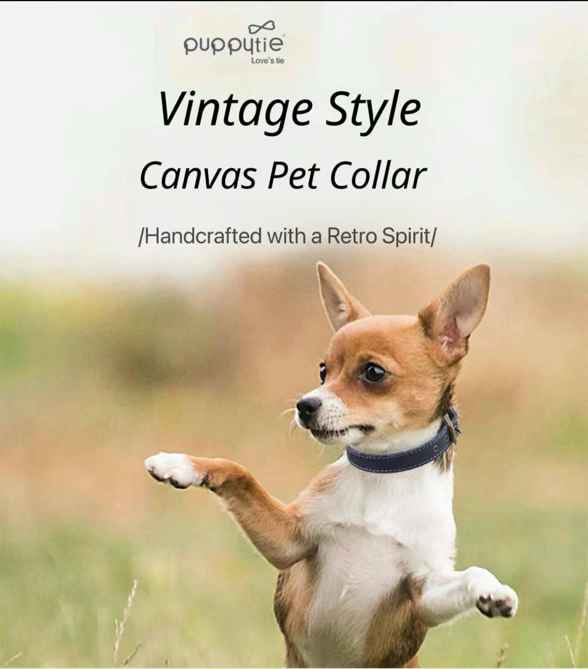PUPPYTIE Vintage Canvas and Leather Pet Collar