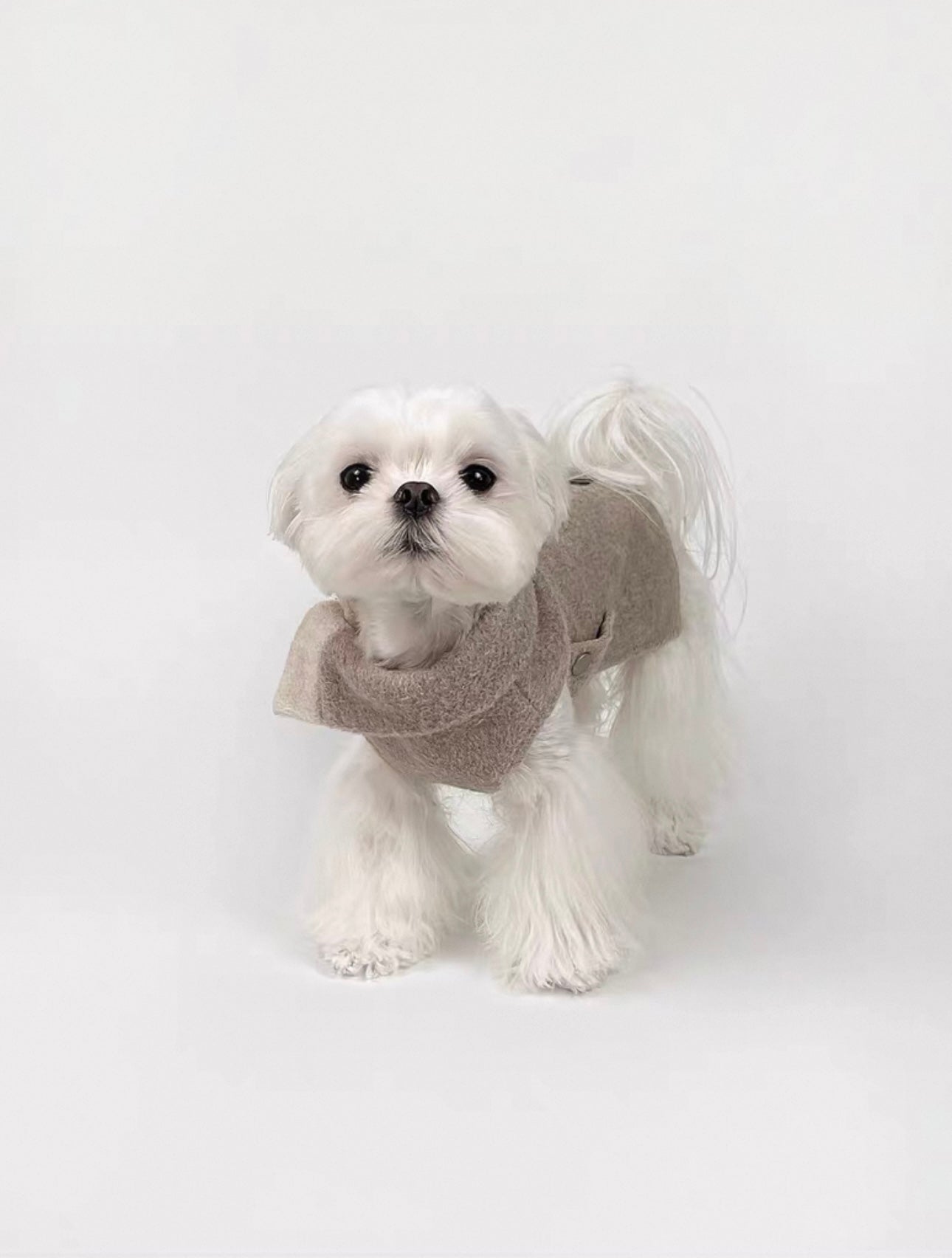 British Style Dog Overcoat – Folded Collar & Faux Fur Bow