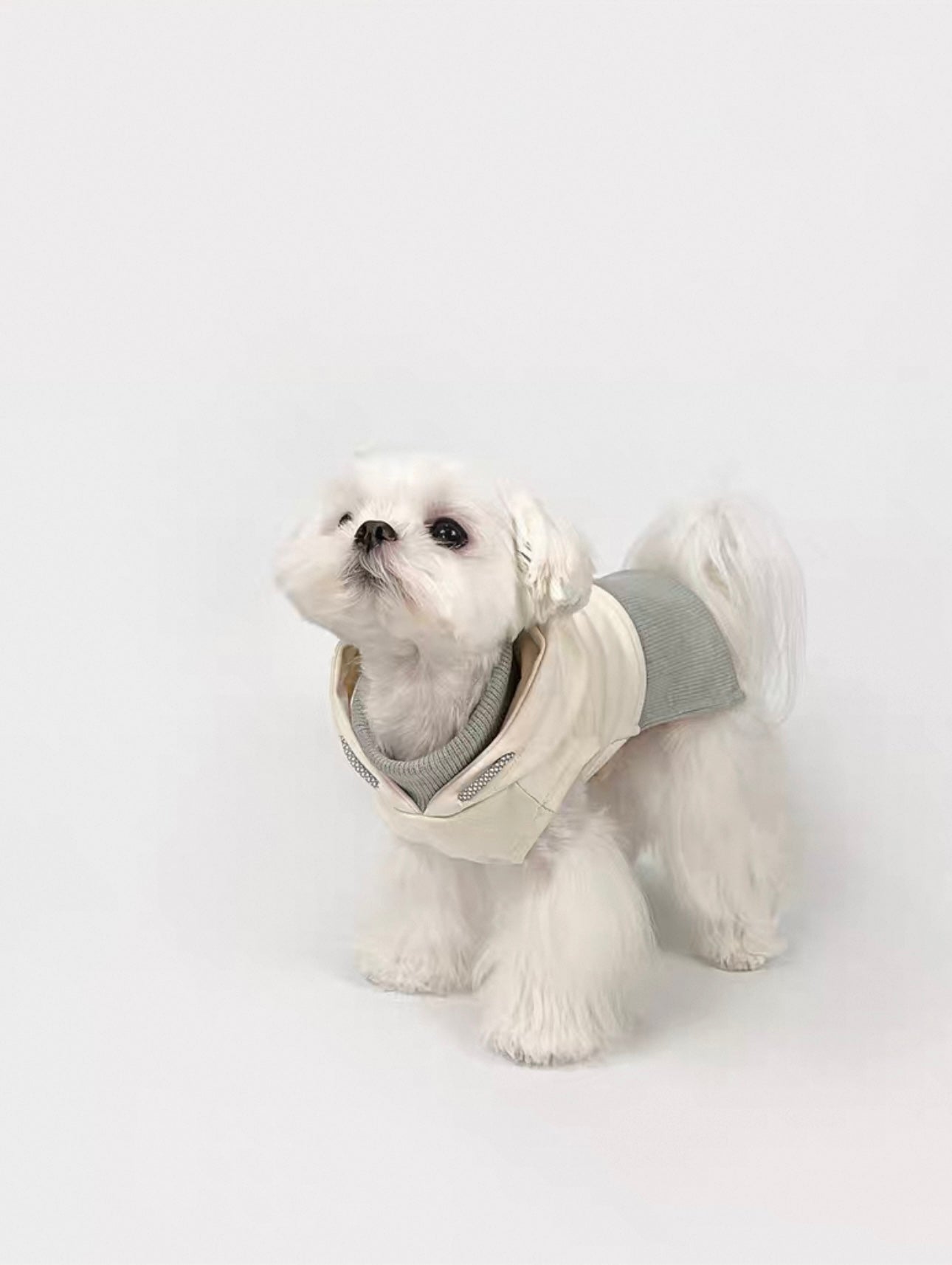 Cream & Grey Drawstring Hoodie for Dogs – Soft Cotton Pullover with Urban Touch