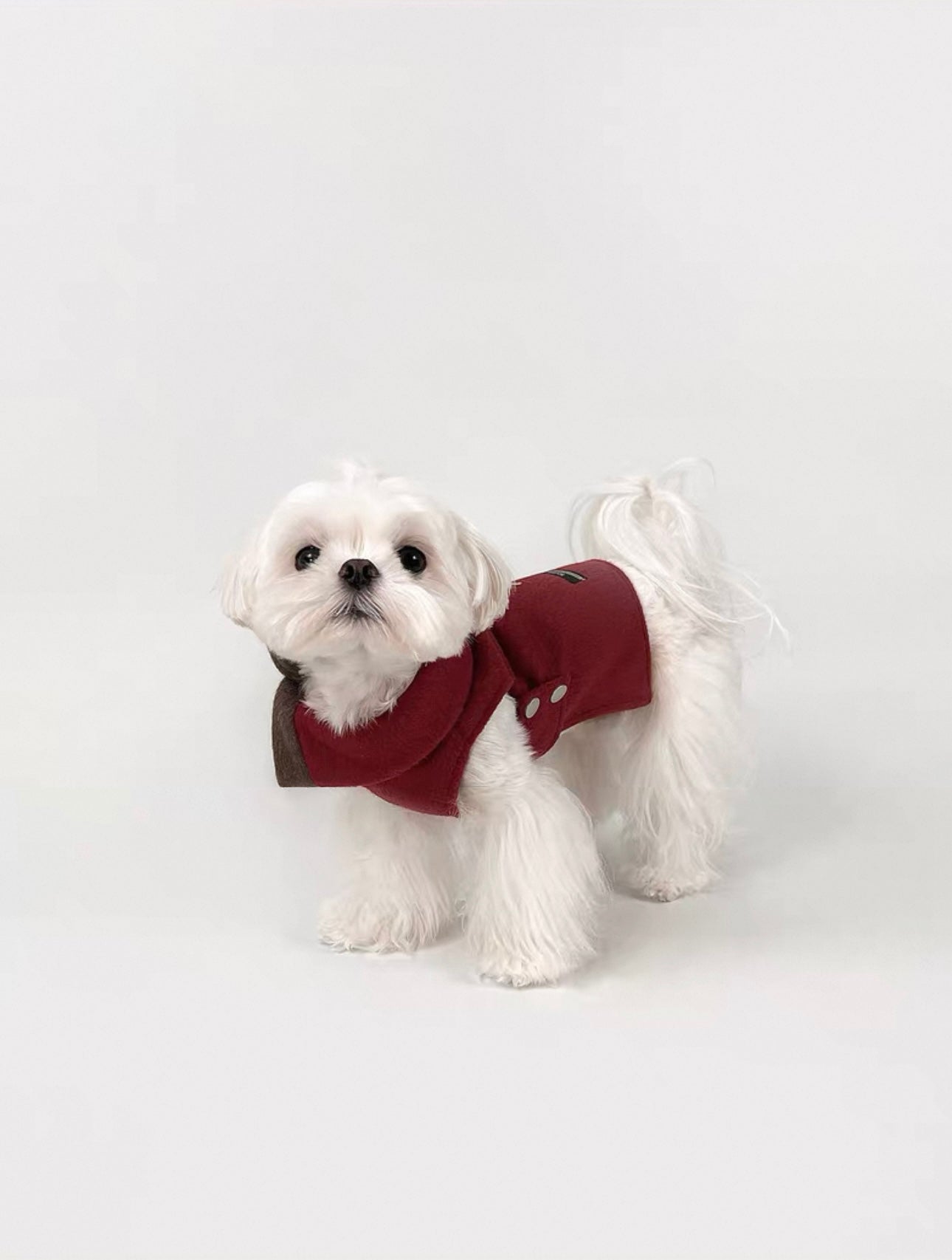 Festive Red Dog Overcoat – Wool-Blend Holiday Jacket with Folded Collar