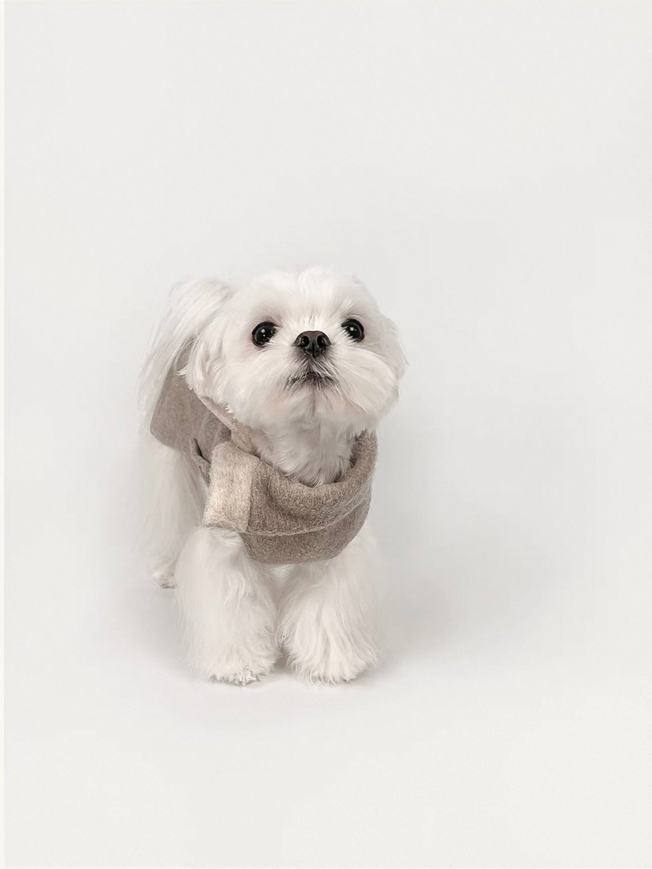 British Style Dog Overcoat – Folded Collar & Faux Fur Bow