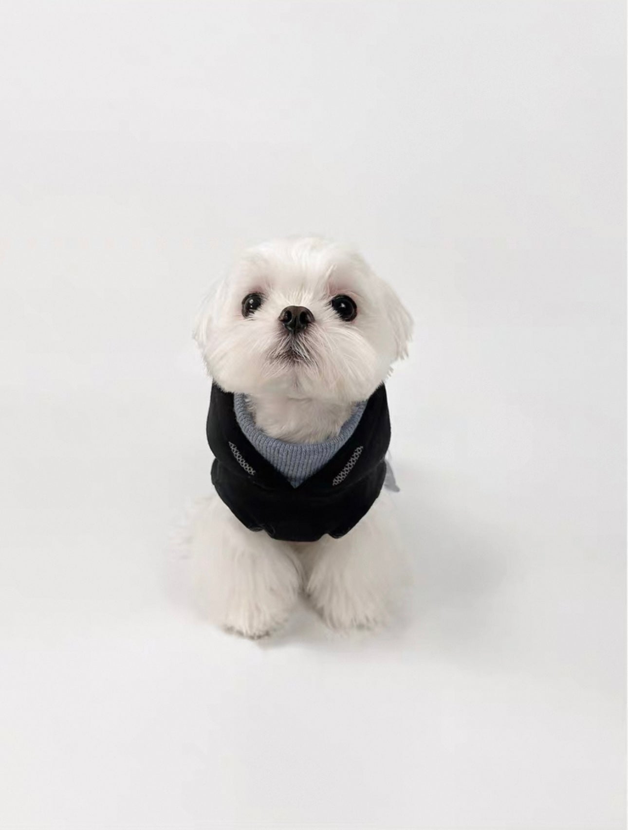 KyawKyaw Black & Navy Block Hoodie for Dogs – Thick Cotton Fleece with Reflective Trim