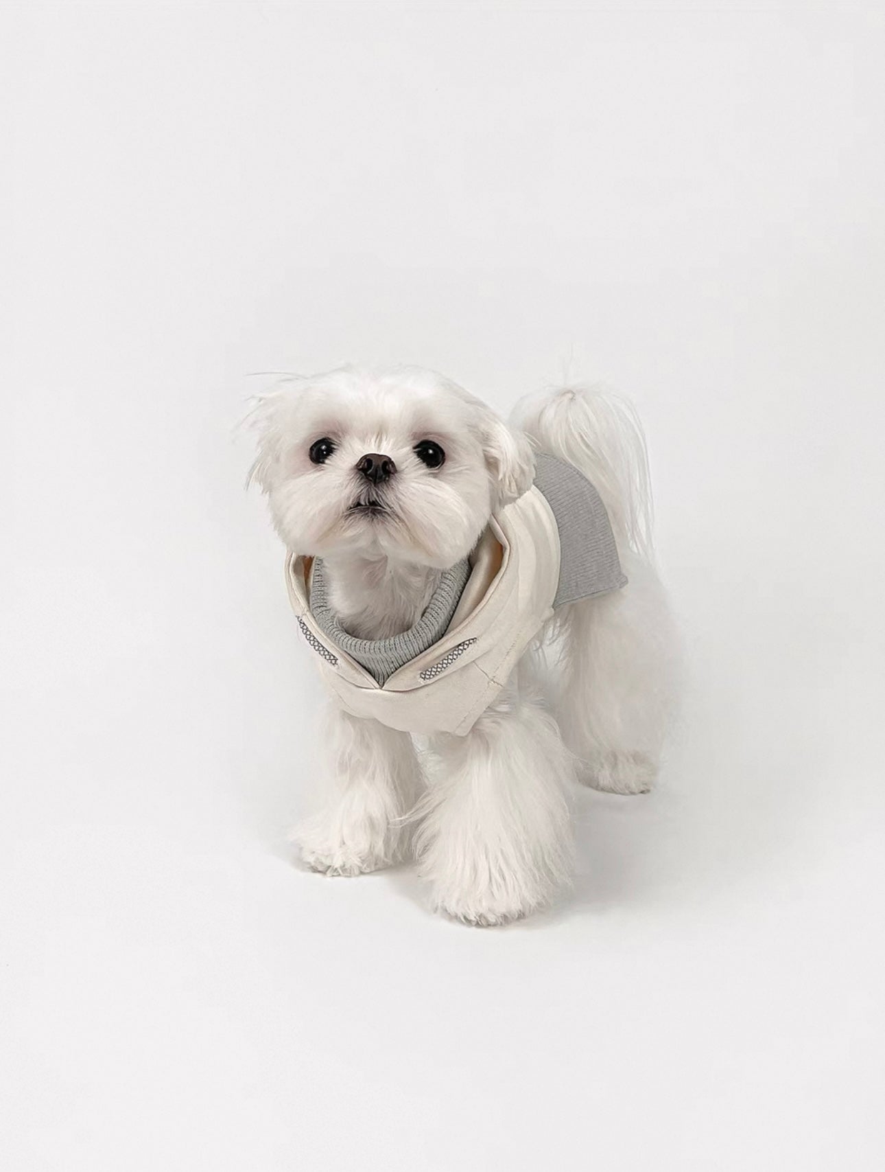 Cream & Grey Drawstring Hoodie for Dogs – Soft Cotton Pullover with Urban Touch