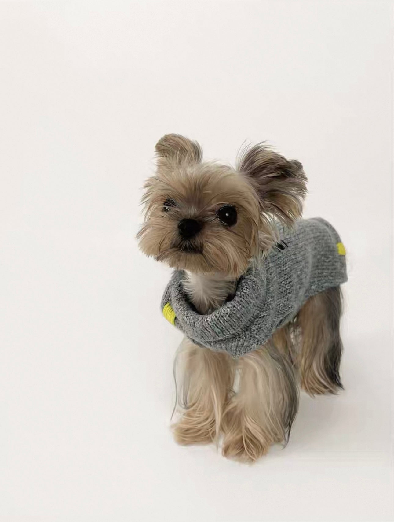 Fog Blue Knitted Sweater with Folded Collar