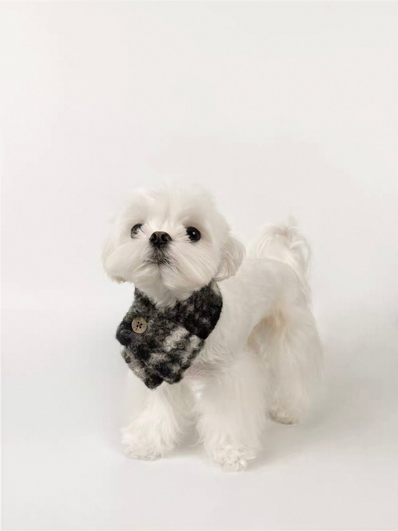 KyawKyaw Classic Plaid Dog Scarf with Button – Soft & Stylish Winter Neck Warmer