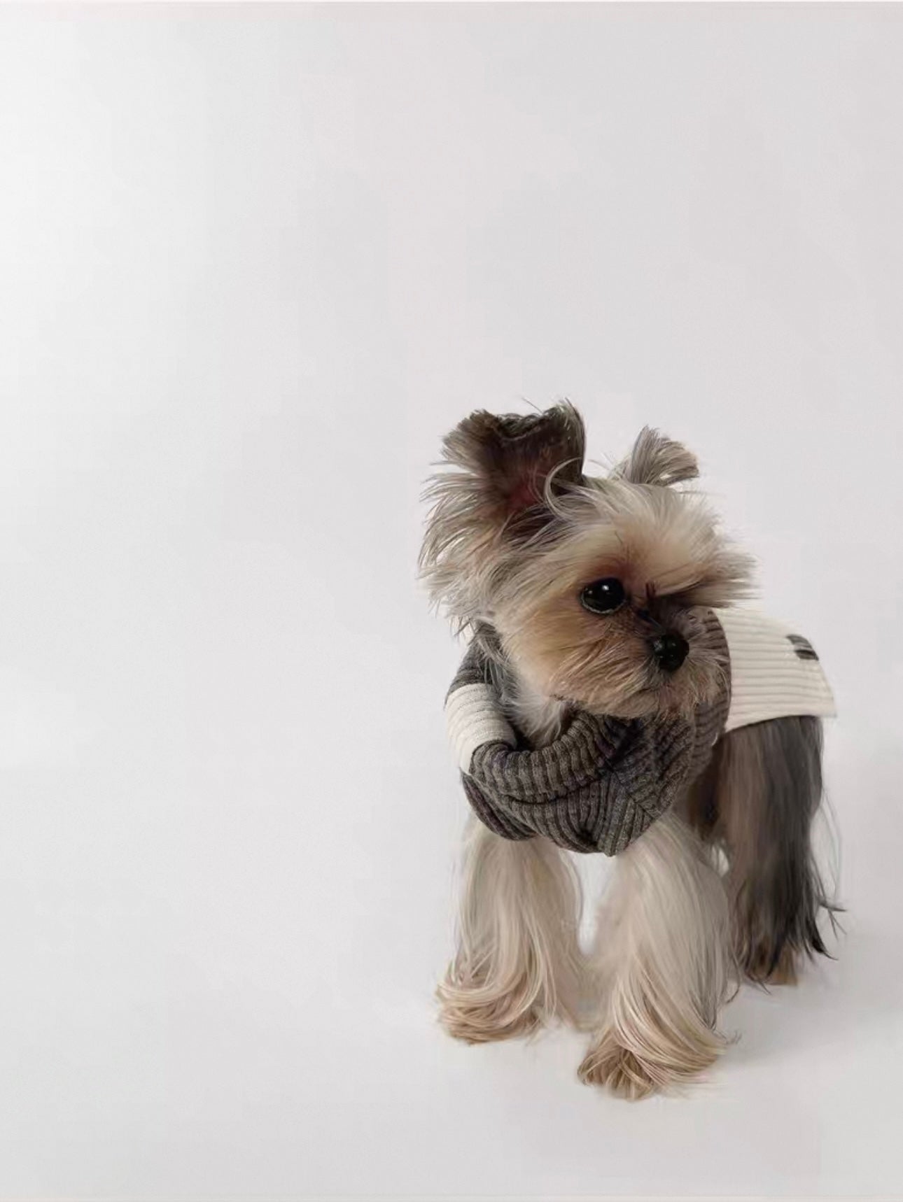 KyawKyaw Two-Tone Turtleneck Knit Sweater for Dogs and Cats Brown  – Soft, Stylish & Cozy Fit