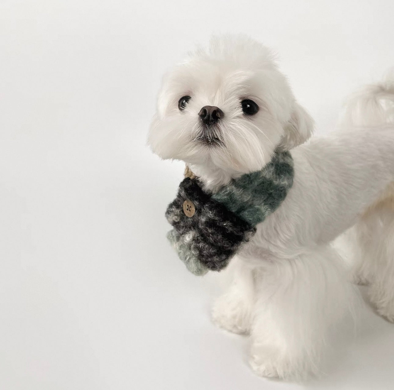 KyawKyaw Classic Plaid Dog Scarf with Button – Soft & Stylish Winter Neck Warmer