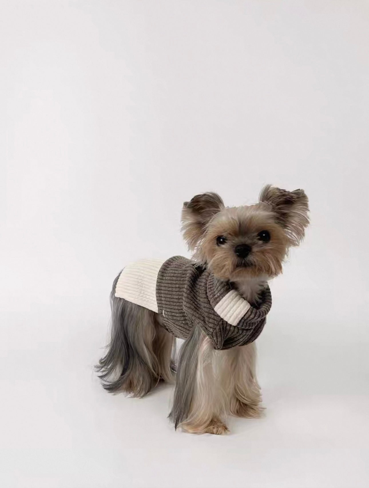 KyawKyaw Two-Tone Turtleneck Knit Sweater for Dogs and Cats Brown  – Soft, Stylish & Cozy Fit